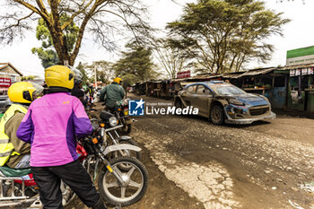 2023-06-24 - 09 Jourdan SERDERIDIS (GRC), Frédéric MICLOTTE (BEL), M-SPORT FORD WORLD RALLY TEAM, FORD Puma Rally1 Hybrid, WRC, action during the Safari Rally Kenya 2023, 7th round of the 2023 WRC World Rally Car Championship, from June 22 to 25, 2023 in Naivasha, Nakuru County, Kenya - AUTO - WRC - SAFARI RALLY KENYA 2023 - RALLY - MOTORS