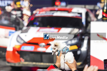2023-07-23 - ambiance during the Rally Estonia 2023, 8th round of the 2023 WRC World Rally Car Championship, from July 20 to 23, 2023 in Tartu, Estonia - AUTO - WRC - RALLY ESTONIA 2023 - RALLY - MOTORS
