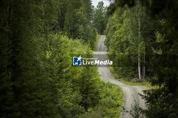 2023-08-01 - ambiance during the Rally Finland 2023, 9th round of the 2023 WRC World Rally Car Championship, from August 3 to 6, 2023 in Jyväskylä, Finland - AUTO - WRC - RALLY FINLAND 2023 - RALLY - MOTORS
