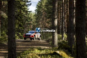 2023-08-05 - 35 Fabrizio ZALDIVAR (PRY), Marcelo DER OHANNESIAN (ITA), HYUNDAI i20 N, RC2, Rally2, action during the Rally Finland 2023, 9th round of the 2023 WRC World Rally Car Championship, from August 3 to 6, 2023 in Jyväskylä, Finland - AUTO - WRC - RALLY FINLAND 2023 - RALLY - MOTORS