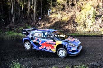 2023-09-28 - The Driver Ott Tanak (Est) and Martin Jarveoja (Est) Of Team M-Sport Ford World Rally Team , Ford Puma Rally1 Hybrid,During, Fia World Rally Championship WRC Rally Chile Bio Bio,They are facing Shakedown,Los Angeles, Chile 28 Set,2023 - FIA WORLD RALLY CHAMPIONSHIP WRC RALLY CHILE BIO BIO 2023 - RALLY - MOTORS