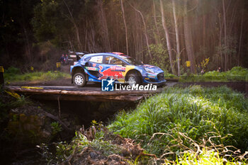 2023-09-28 - The Driver Pierre-Louis Loubet (Fra) and Nicolas Gilsoul (Bel) M-Sport Ford Wrt, Ford Puma Rally1 Hybrid,During, Fia World Rally Championship WRC Rally Chile Bio Bio,They are facing Shakedown,Los Angeles, Chile 28 Set,2023 - FIA WORLD RALLY CHAMPIONSHIP WRC RALLY CHILE BIO BIO 2023 - RALLY - MOTORS