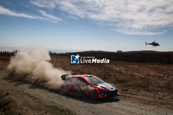 2023-09-30 - 03 Teemu SUNINEN (fin), Mikko MARKKULA (fin), HYUNDAI SHELL MOBIS WORLD RALLY TEAM, HYUNDAI I20 N Rally1 Hybrid, WRC, action during the Chile Rally 2023, 11th round of the 2023 WRC World Rally Car Championship, from September 28 to October 1st, 2023 in Los Angeles, Chile - AUTO - WRC - CHILE RALLY 2023 - RALLY - MOTORS