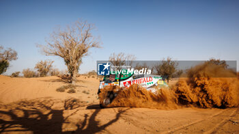 2023-10-11 - 505 HUZINK Gert (nld), BUURSEN Rob (nld), ROESINK Martin (nld), Riwald Dakar Team, Renault C460 Hybrid, action during the Private test of the Rallye du Maroc 2023, from October 10 to 11, 2023 near Agadir, in Morocco - AUTO - RALLYE DU MAROC 2023 - RALLY - MOTORS