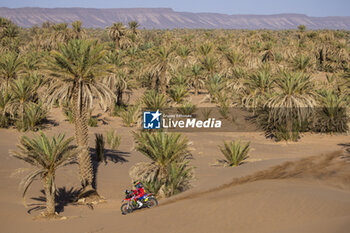 2023-10-15 - 07 QUINTANILLA Pablo (chl), Monster Energy Honda Team, Honda CRF 450 Rally, FIM W2RC, action during the Stage 2 of the Rallye du Maroc 2023, on October 15, 2023 around Zagora, Morocco - AUTO - RALLYE DU MAROC 2023 - RALLY - MOTORS