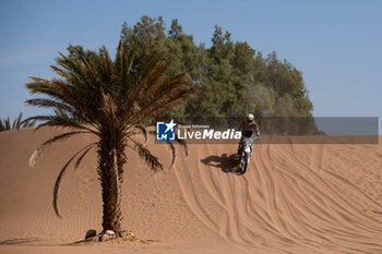 2023-10-15 - 154 HODOLA Richard (hun), KTM 450 EXC, FIM W2RC, action during the Stage 2 of the Rallye du Maroc 2023, on October 15, 2023 around Zagora, Morocco - AUTO - RALLYE DU MAROC 2023 - RALLY - MOTORS