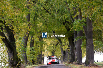 2023-10-27 - Driver Elfyn Evans (Gb) and Scott Martin (Gb) Of Team Toyota Gazoo Racing Wrt, Toyota Gr Yaris Rally1 Hybrid ,During,Fia World Rally Championship Wrc Central European Rally,They Will Face The Second Day Of The Race ,Passau ,Germany,27 October 2023 - FIA WORLD RALLY CHAMPIONSHIP WRC CENTRAL EUROPEAN RALLY 2023 - RALLY - MOTORS