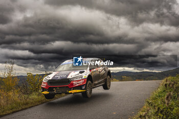 2023-10-27 - 31 Erik CAIS (CZE), Daniel TRUNKAT (CZE), ERIK CAIS, SKODA Fabia RS, RC2, Rally2, action during the Central European Rally 2023, 12th round of the 2023 WRC World Rally Car Championship, from October 26 to 29, 2023 in Passau, Germany - AUTO - WRC - CENTRAL EUROPEAN RALLY 2023 - RALLY - MOTORS