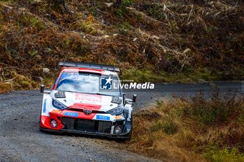 2023-11-19 - The Driver Elfyn Evans (Gb) and Scott Martin (Gb) Of Team Toyota Gazoo Racing Wrt, Toyota Gr Yaris Rally1 Hybrid ,During Fia World Rally Championship Wrc Forum8 Rally,They Face The Fourth Day Of Race,Aichi,Japan 19 November 2023 - FIA WORLD RALLY CHAMPIONSHIP WRC FORUM8 RALLY JAPAN 2023 - RALLY - MOTORS