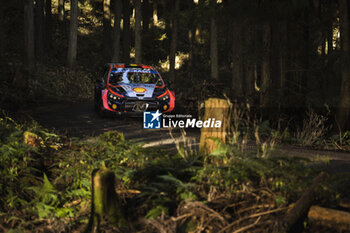 2023-11-18 - 11 Thierry NEUVILLE (BEL), Martijn WYDAEGHE (BEL), HYUNDAI SHELL MOBIS WORLD RALLY TEAM, HYUNDAI I20 N Rally1 Hybrid, WRC, action during the Rally Japan 2023, 13th round of the 2023 WRC World Rally Car Championship, from November 16 to 19, 2023 in Toyota, Aichi Prefecture, Chubu Region, Japan - AUTO - WRC - RALLY JAPAN 2023 - RALLY - MOTORS