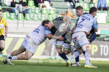 Benetton Rugby vs Aviron Bayonnais - CHALLENGE CUP - RUGBY