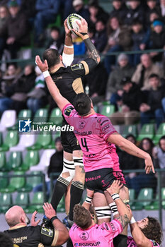 2023-12-16 - Line out Jacob Umaga during the EPCR CHALLENGE CUP match between Benetton Rugby and USAP Perpignan on 16 December 2023 at Stadio Monigo in Treviso, Italy - BENETTON RUGBY VS USAP - CHALLENGE CUP - RUGBY
