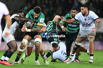 2023-12-15 - Northampton Saints back row Courtney Laws during the Champions Cup, rugby union match between Northampton Saints and RC Toulon on 15 December 2023 at Franklins Gardens in Northampton, England - RUGBY - CHAMPIONS CUP - NORTHAMPTON V TOULON - CHAMPIONS CUP - RUGBY