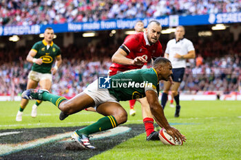 2023-08-19 - Damian Willemse of South Africa scores his sides eighth try during the Summer Nations Series 2023, Rugby Union Friendly match between Wales and South Africa on 19 August 2023 at Principality Stadium in Cardiff, Wales - RUGBY - SUMMER NATIONS SERIES 2023 - WALES V SOUTH AFRICA - TEST MATCH - RUGBY