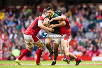 2023-08-19 - Damian de Allende of South Africa during the Summer Nations Series 2023, Rugby Union Friendly match between Wales and South Africa on 19 August 2023 at Principality Stadium in Cardiff, Wales - RUGBY - SUMMER NATIONS SERIES 2023 - WALES V SOUTH AFRICA - TEST MATCH - RUGBY
