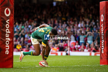 2023-08-19 - Canan Moodie of South Africa scores his sides seventh try during the Summer Nations Series 2023, Rugby Union Friendly match between Wales and South Africa on 19 August 2023 at Principality Stadium in Cardiff, Wales - RUGBY - SUMMER NATIONS SERIES 2023 - WALES V SOUTH AFRICA - TEST MATCH - RUGBY