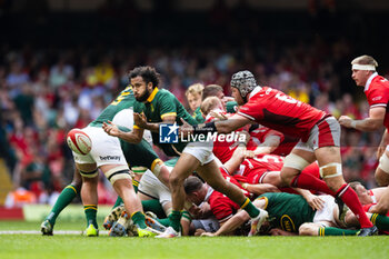 2023-08-19 - Jaden Hendrikse of South Africa during the Summer Nations Series 2023, Rugby Union Friendly match between Wales and South Africa on 19 August 2023 at Principality Stadium in Cardiff, Wales - RUGBY - SUMMER NATIONS SERIES 2023 - WALES V SOUTH AFRICA - TEST MATCH - RUGBY