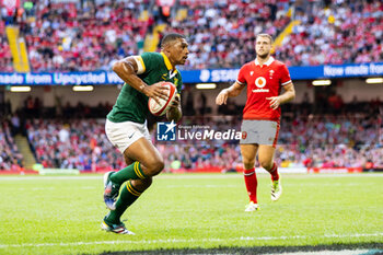 2023-08-19 - Damian Willemse of South Africa during the Summer Nations Series 2023, Rugby Union Friendly match between Wales and South Africa on 19 August 2023 at Principality Stadium in Cardiff, Wales - RUGBY - SUMMER NATIONS SERIES 2023 - WALES V SOUTH AFRICA - TEST MATCH - RUGBY