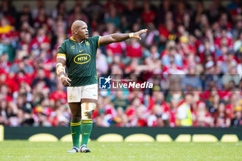 2023-08-19 - Bongi Mbonambi of South Africa during the Summer Nations Series 2023, Rugby Union Friendly match between Wales and South Africa on 19 August 2023 at Principality Stadium in Cardiff, Wales - RUGBY - SUMMER NATIONS SERIES 2023 - WALES V SOUTH AFRICA - TEST MATCH - RUGBY
