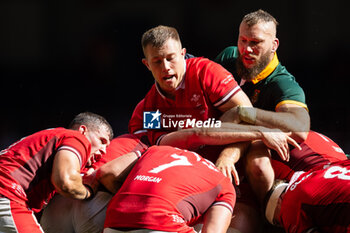 2023-08-19 - RG Snyman of South Africa and Ben Carter of Wales at the maul during the Summer Nations Series 2023, Rugby Union Friendly match between Wales and South Africa on 19 August 2023 at Principality Stadium in Cardiff, Wales - RUGBY - SUMMER NATIONS SERIES 2023 - WALES V SOUTH AFRICA - TEST MATCH - RUGBY