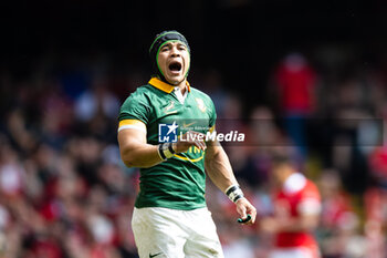 2023-08-19 - Cheslin Kolbe of South Africa during the Summer Nations Series 2023, Rugby Union Friendly match between Wales and South Africa on 19 August 2023 at Principality Stadium in Cardiff, Wales - RUGBY - SUMMER NATIONS SERIES 2023 - WALES V SOUTH AFRICA - TEST MATCH - RUGBY