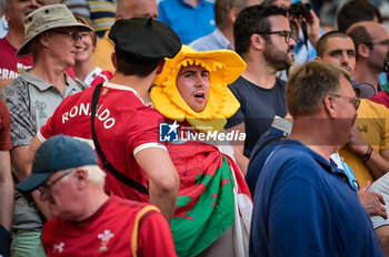2023-10-14 - Fans of Wales during a RUGBY WORLD CUP FRANCE 2023 match between Wales and Argentina at Stade de Marseille, in Marseille, ,France on October 14, 2023. (Photo / Felipe Mondino) - 2023 RUGBY WORLD CUP - WALES VS ARGENTINA - WORLD CUP - RUGBY