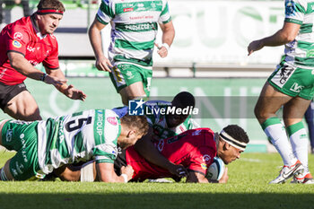 2023-11-05 - Darien Lane Landsberg - BENETTON RUGBY VS EMIRATES LIONS - UNITED RUGBY CHAMPIONSHIP - RUGBY