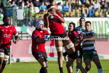 2023-11-05 - Darrien Lane Landsberg - BENETTON RUGBY VS EMIRATES LIONS - UNITED RUGBY CHAMPIONSHIP - RUGBY