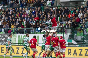 2023-10-29 - Edwin Edogbo and Alessandro Izekor - BENETTON RUGBY VS MUNSTER RUGBY - UNITED RUGBY CHAMPIONSHIP - RUGBY