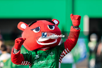2023-12-30 - Benetton mascotte - BENETTON RUGBY VS ZEBRE RUGBY CLUB - UNITED RUGBY CHAMPIONSHIP - RUGBY
