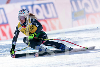 2023-01-22 - BASSINO MARTA (ITA) 3th CLASSIFIED - 2023 AUDI FIS SKI WORLD CUP - WOMEN'S SUPER G - ALPINE SKIING - WINTER SPORTS