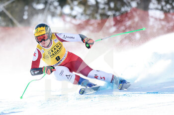 2023-01-22 - TIPPLER TAMARA (AUT) - 2023 AUDI FIS SKI WORLD CUP - WOMEN'S SUPER G - ALPINE SKIING - WINTER SPORTS