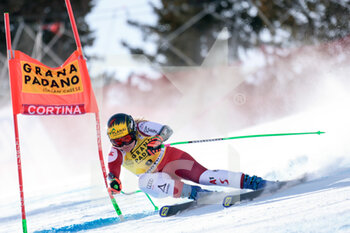 2023-01-22 - TIPPLER TAMARA (AUT) - 2023 AUDI FIS SKI WORLD CUP - WOMEN'S SUPER G - ALPINE SKIING - WINTER SPORTS