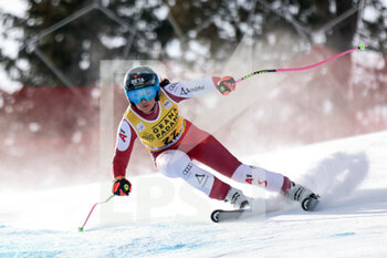 22/01/2023 - VENIER STEPHANIE (AUT) - 2023 AUDI FIS SKI WORLD CUP - WOMEN'S SUPER G - SCI ALPINO - SPORT INVERNALI