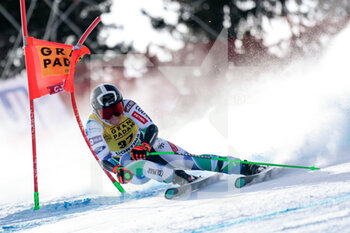 2023-01-22 - STUHEC ILKA (SLO) - 2023 AUDI FIS SKI WORLD CUP - WOMEN'S SUPER G - ALPINE SKIING - WINTER SPORTS