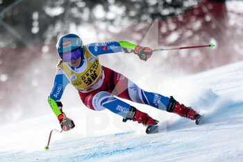 2023-01-22 - CERUTTI CAMILLE (FRA) - 2023 AUDI FIS SKI WORLD CUP - WOMEN'S SUPER G - ALPINE SKIING - WINTER SPORTS