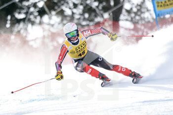 2023-01-22 - FLECKENSTEIN STEFANIE (CAN) - 2023 AUDI FIS SKI WORLD CUP - WOMEN'S SUPER G - ALPINE SKIING - WINTER SPORTS