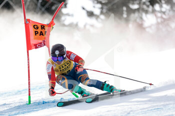 22/01/2023 - CAILL ANIA MONICA (ROU) - 2023 AUDI FIS SKI WORLD CUP - WOMEN'S SUPER G - SCI ALPINO - SPORT INVERNALI