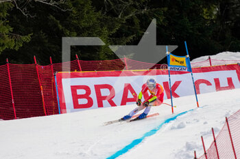 13/01/2023 - 13.01.2023, Wengen, Lauberhorn, FIS Ski World Cup: Lauberorn Super-G,  Marco Odermatt of Switzerland in action - FIS SKI WORLD CUP: LAUBERORN SUPER-G - SCI ALPINO - SPORT INVERNALI