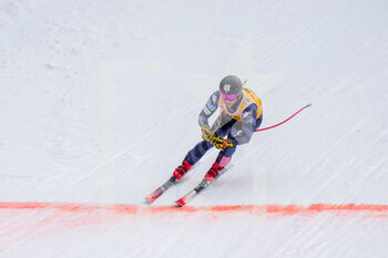 2023-01-13 - 13.01.2023, Wengen, Lauberhorn, FIS Ski World Cup: Lauberorn Super-G,  Kyle Negomir of USA crossing the finish line - FIS SKI WORLD CUP: LAUBERORN SUPER-G - ALPINE SKIING - WINTER SPORTS