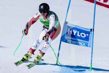 2023-01-29 - Haaser Raphael (AUT) - 2023 AUDI FIS SKI WORLD CUP - MEN'S SUPER G - ALPINE SKIING - WINTER SPORTS