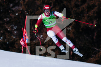 2023-01-29 - Babinsky Stefan (AUT) - 2023 AUDI FIS SKI WORLD CUP - MEN'S SUPER G - ALPINE SKIING - WINTER SPORTS