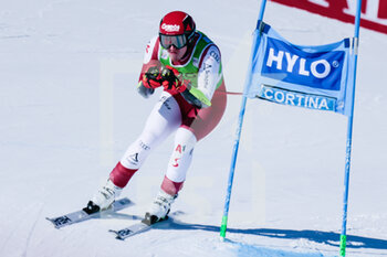 29/01/2023 - Babinsky Stefan (AUT) - 2023 AUDI FIS SKI WORLD CUP - MEN'S SUPER G - SCI ALPINO - SPORT INVERNALI