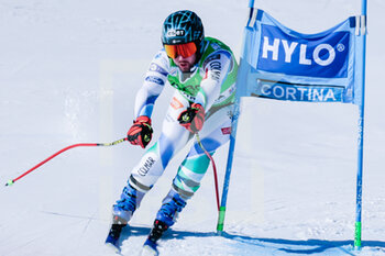 2023-01-29 - Cater Martin (SLO)  - 2023 AUDI FIS SKI WORLD CUP - MEN'S SUPER G - ALPINE SKIING - WINTER SPORTS