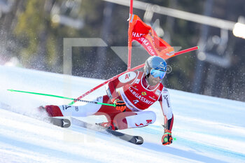 2023-03-11 - SCHWARZ Marco (SUI) - 2023 AUDI FIS SKI WORLD CUP - MEN'S GIANT SLALOM - ALPINE SKIING - WINTER SPORTS
