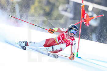 2023-03-11 - FEURSTEIN Patrick (AUT) - 2023 AUDI FIS SKI WORLD CUP - MEN'S GIANT SLALOM - ALPINE SKIING - WINTER SPORTS