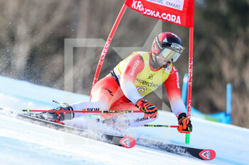 2023-03-12 - MEILLARD Loic (SUI) - 2023 AUDI FIS SKI WORLD CUP - MEN'S GIANT SLALOM - ALPINE SKIING - WINTER SPORTS
