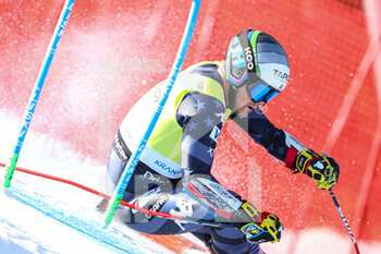2023-03-12 - RADAMUS River (USA) - 2023 AUDI FIS SKI WORLD CUP - MEN'S GIANT SLALOM - ALPINE SKIING - WINTER SPORTS