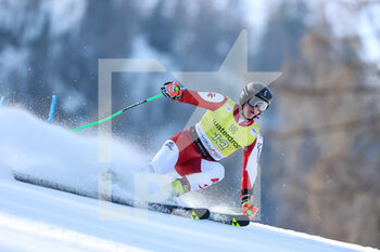 12/03/2023 - HAASER Raphael (AUT) - 2023 AUDI FIS SKI WORLD CUP - MEN'S GIANT SLALOM - SCI ALPINO - SPORT INVERNALI