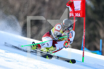 12/03/2023 - HAASER Raphael (AUT) - 2023 AUDI FIS SKI WORLD CUP - MEN'S GIANT SLALOM - SCI ALPINO - SPORT INVERNALI
